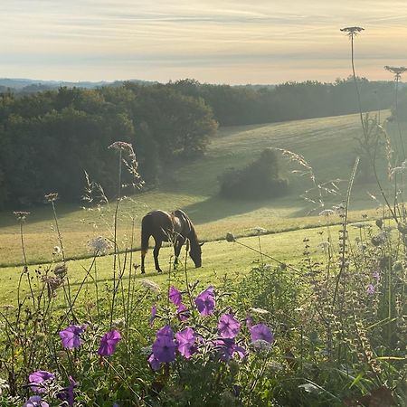 Domaine De Cazal - Gite 2 Pers Avec Piscine Au Coeur De 26 Hectares De Nature Preservee Vila Saint-Cyprien  Exterior foto