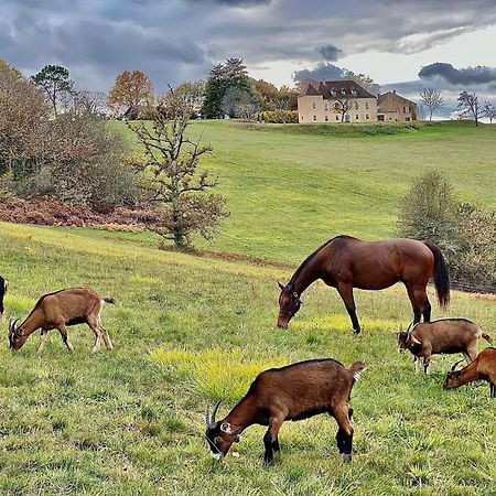 Domaine De Cazal - Gite 2 Pers Avec Piscine Au Coeur De 26 Hectares De Nature Preservee Vila Saint-Cyprien  Exterior foto